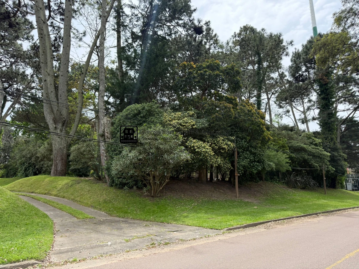 Terreno ID.3307 - Terreno en venta en San Rafael 