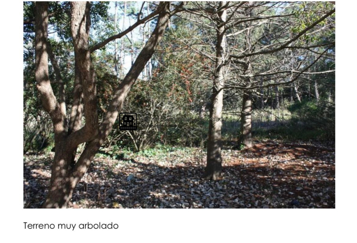 Terreno ID.3203 - Excelente terreno en San Rafael en venta 