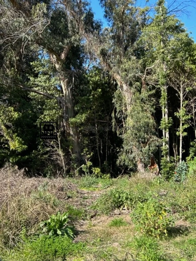 Terreno ID.2480 - Espectacular terreno en Las Grutas