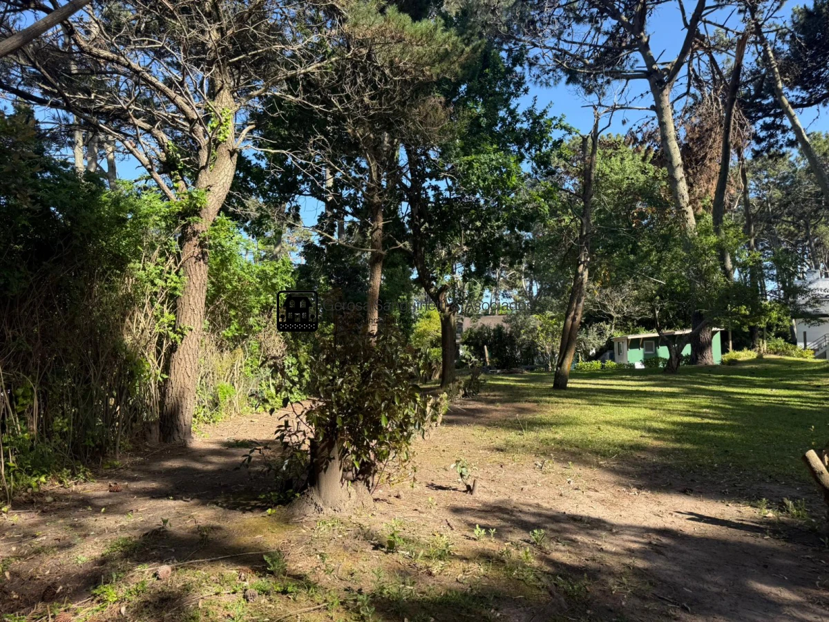 Terreno ID.3307 - Terreno en venta en San Rafael 