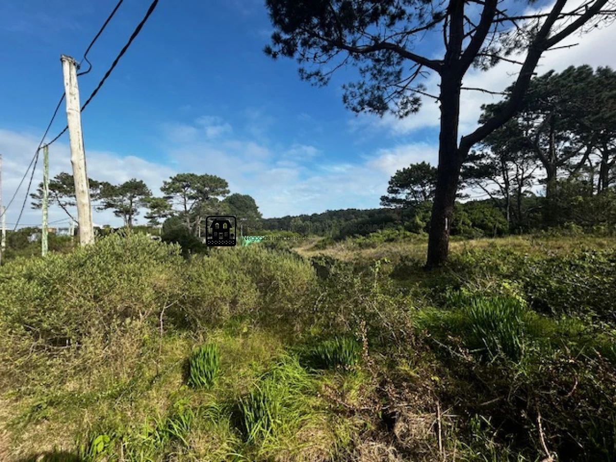 Terreno ID.2601 - Excelente terreno con vista en Rincón del Indio