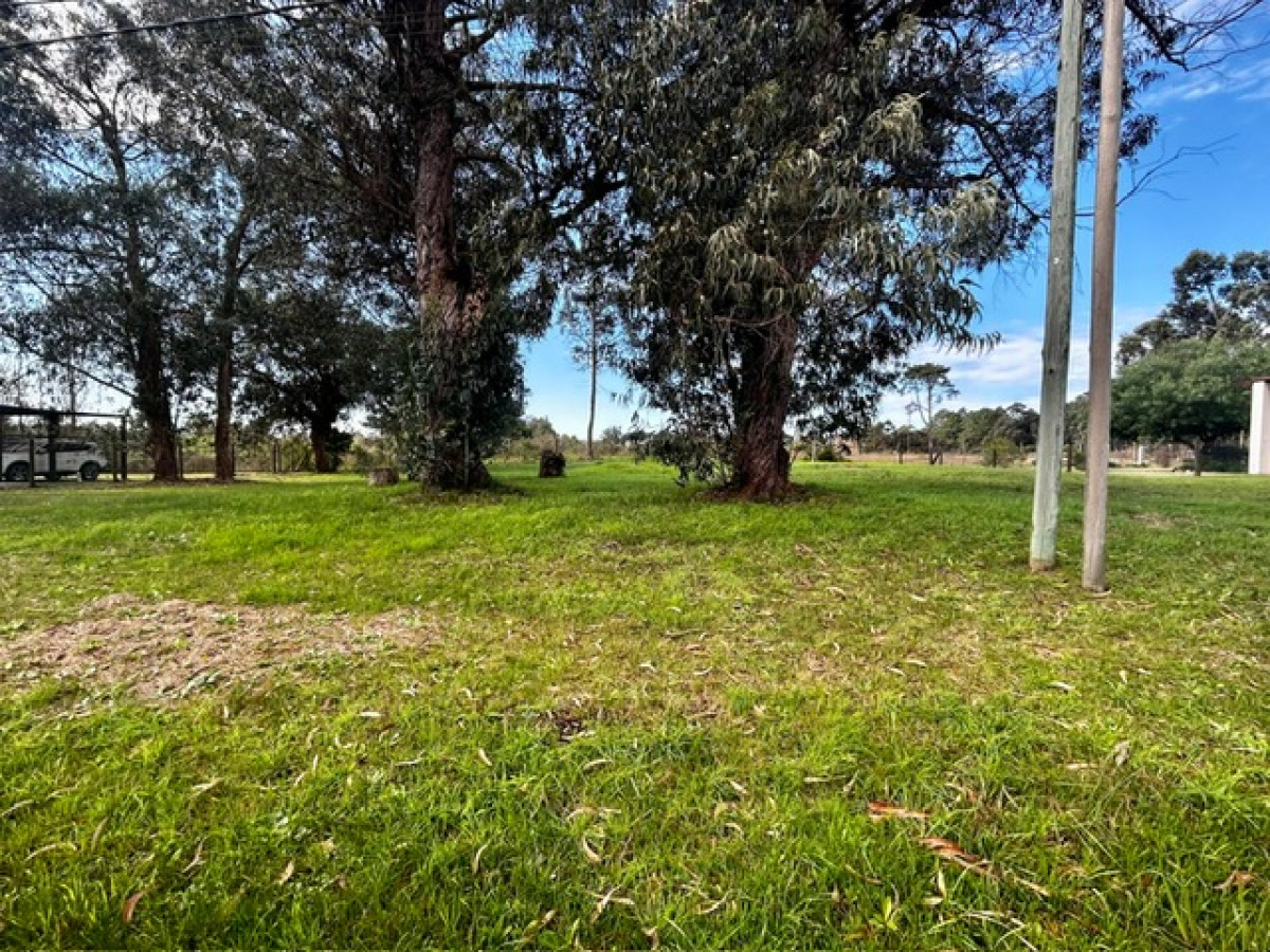 VENTA TERRENO 700M2 PINARES