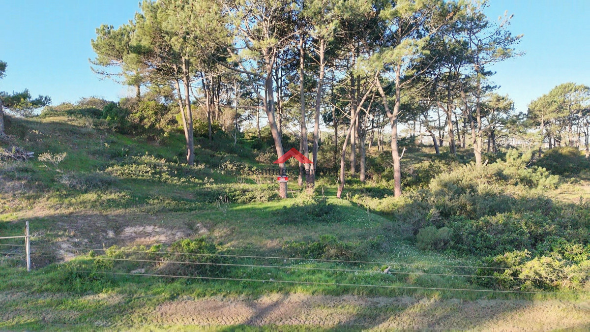 Terreno en Rincón del Indio