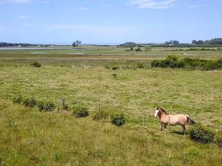 Chacra en venta José Ignacio