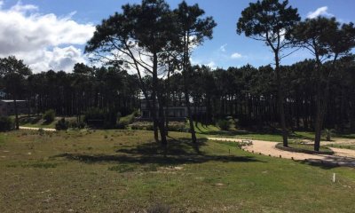 Terreno en venta José Ignacio