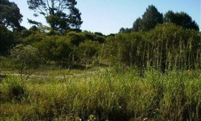 Terreno en venta Chihuahua