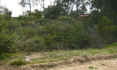 Terreno en venta Chihuahua