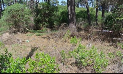 Terreno en venta Chihuahua