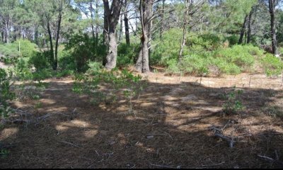 Terreno en venta Chihuahua