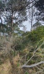 Terreno en venta Arenas De José Ignacio