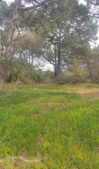 Terreno en venta Arenas De José Ignacio