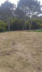 Terreno en venta Arenas De José Ignacio