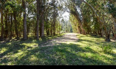 Terreno en venta El Medellin