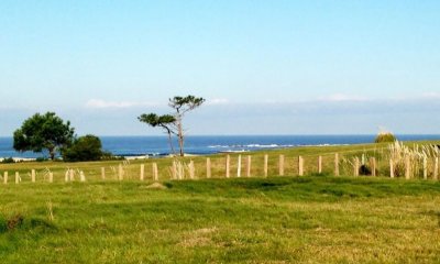 Terreno en venta José Ignacio