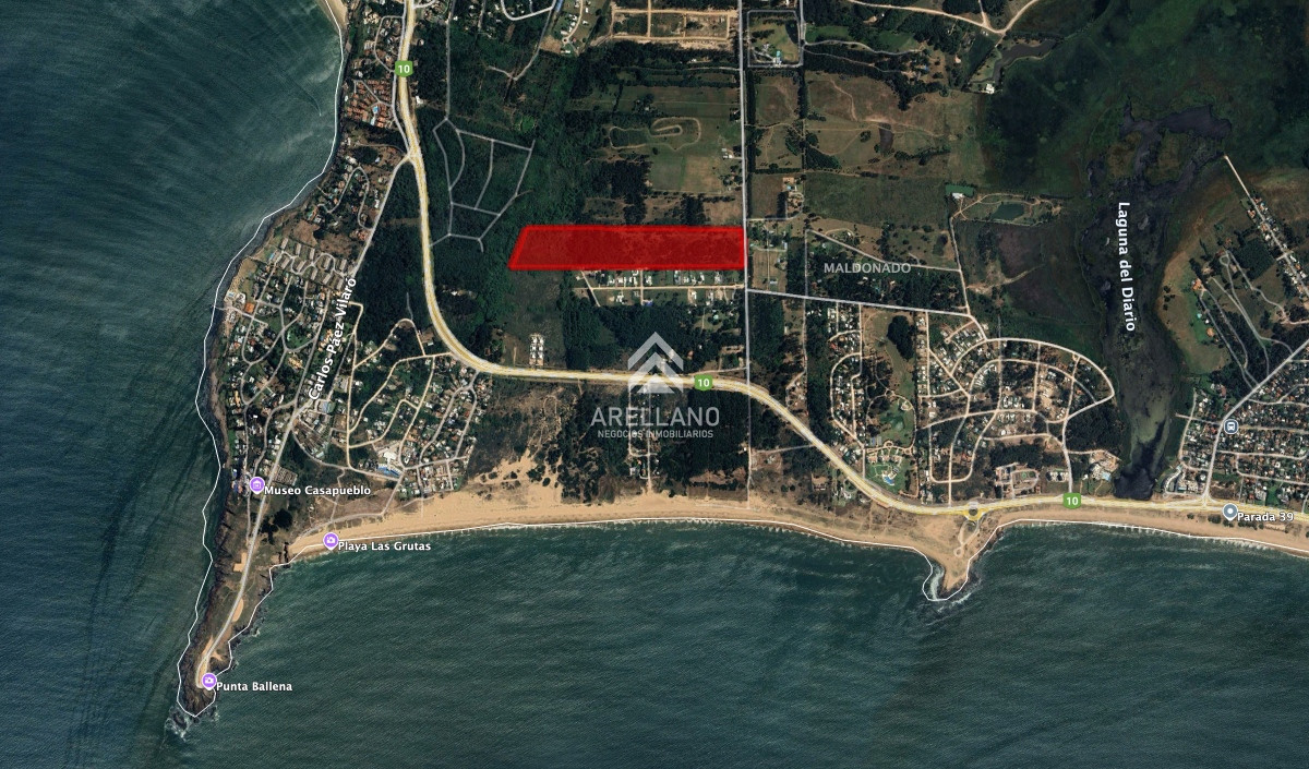Chacra ID.4042 - Chacra en Punta Ballena 15 hectareas