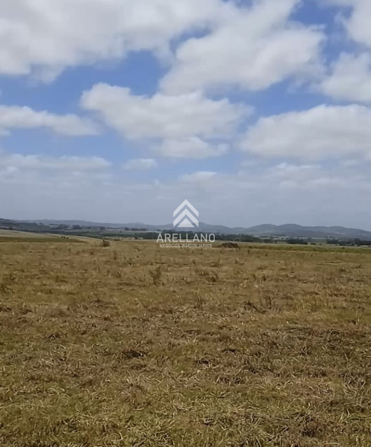 Chacra ID.6887 - Chacra en Camino Marcos Baez - Maldonado
