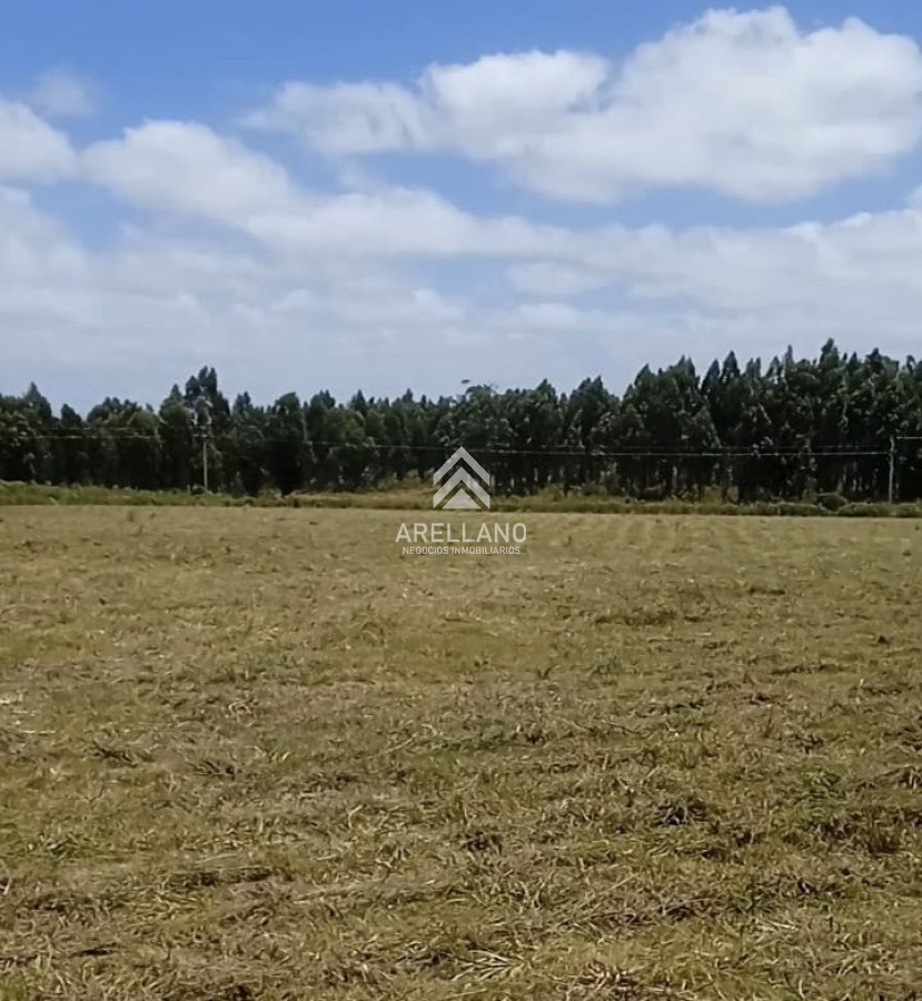 Chacra ID.6887 - Chacra en Camino Marcos Baez - Maldonado