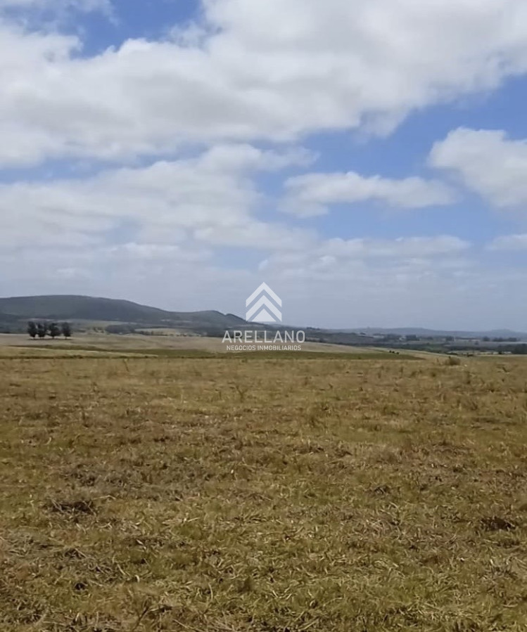 Chacra ID.6887 - Chacra en Camino Marcos Baez - Maldonado