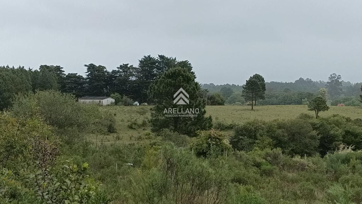 Terreno ID.3519 - Terrenos amplios en venta en La Capuera 