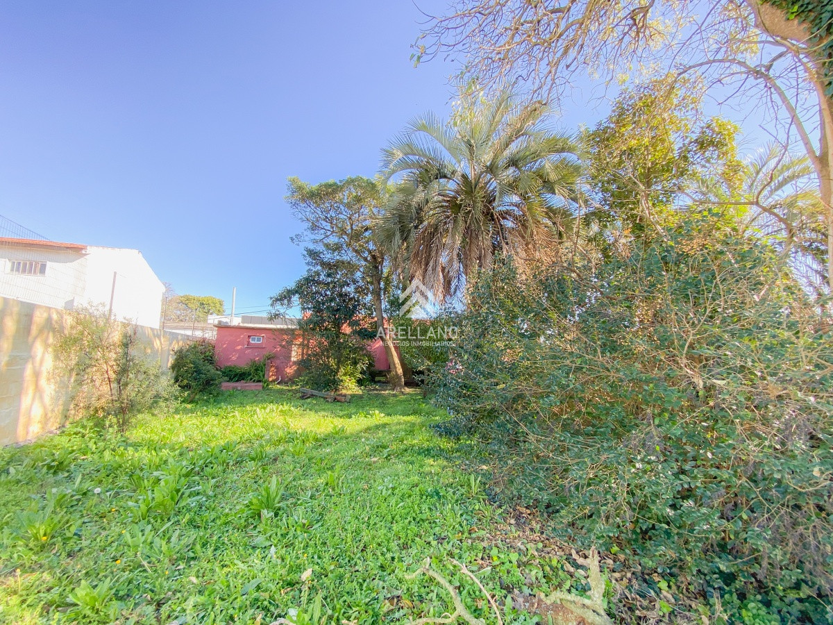 Terreno ID.1280 - Terreno 974m2  con construcción a media cuadra de Av. Lavalleja