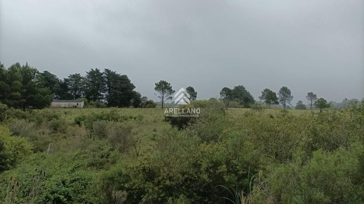 Terreno ID.3519 - Terrenos amplios en venta en La Capuera 