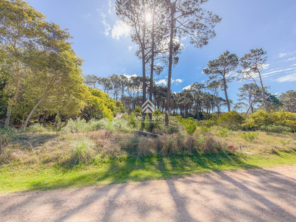 Terreno ID.6825 - Terreno en Reserva Montoya