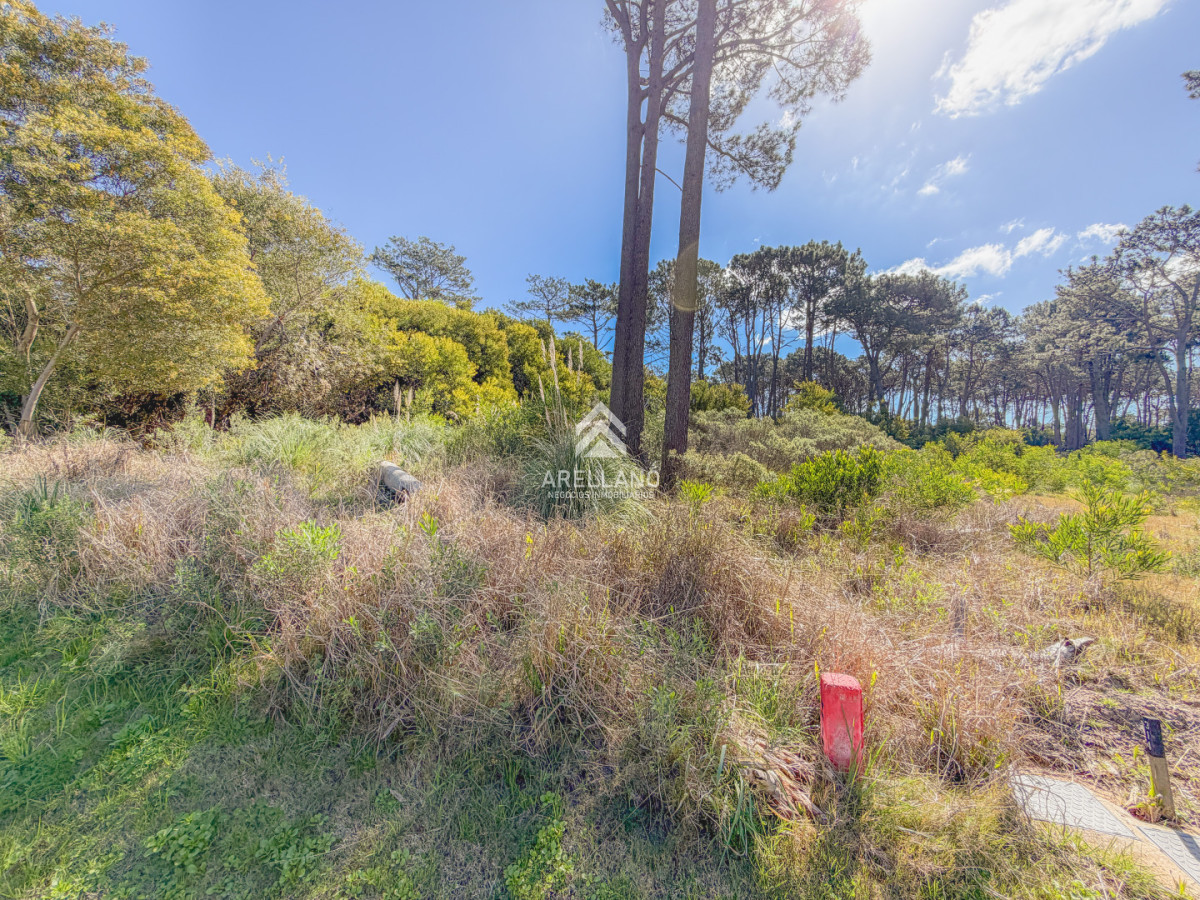 Terreno ID.6824 - Terreno en Reserva Montoya