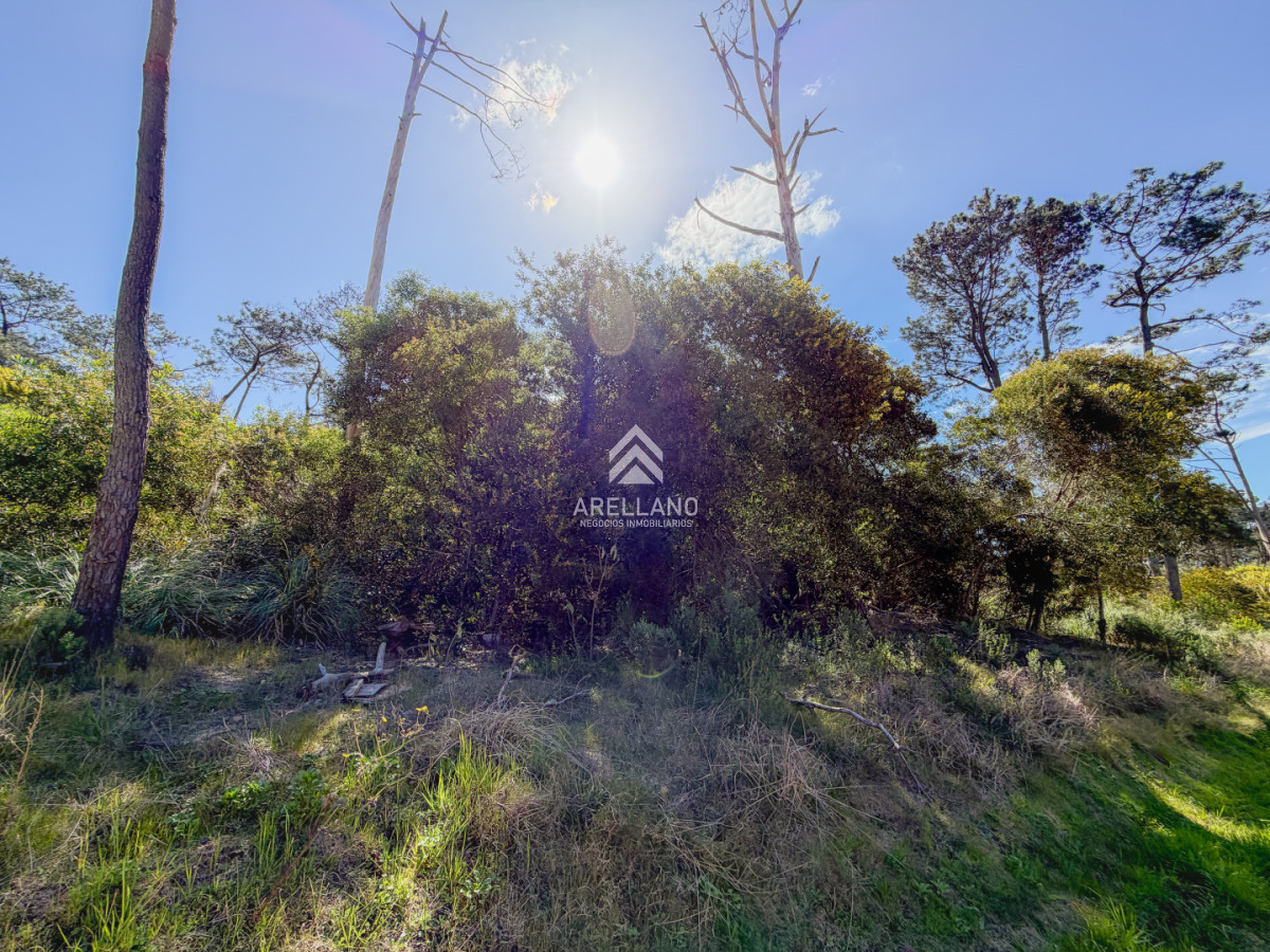 Terreno ID.6824 - Terreno en Reserva Montoya