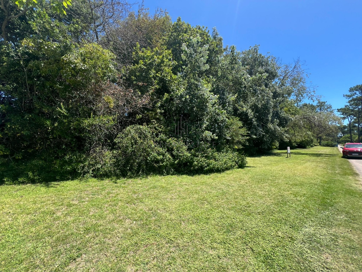 Terreno ID.2718 - Terrenos Posibles de dividir en San Rafael