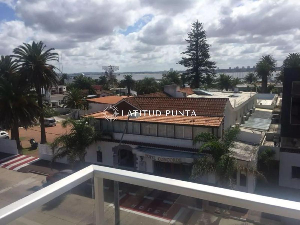 Puerto - GoPunta - Portal Inmobiliario de Punta del Este - Maldonado