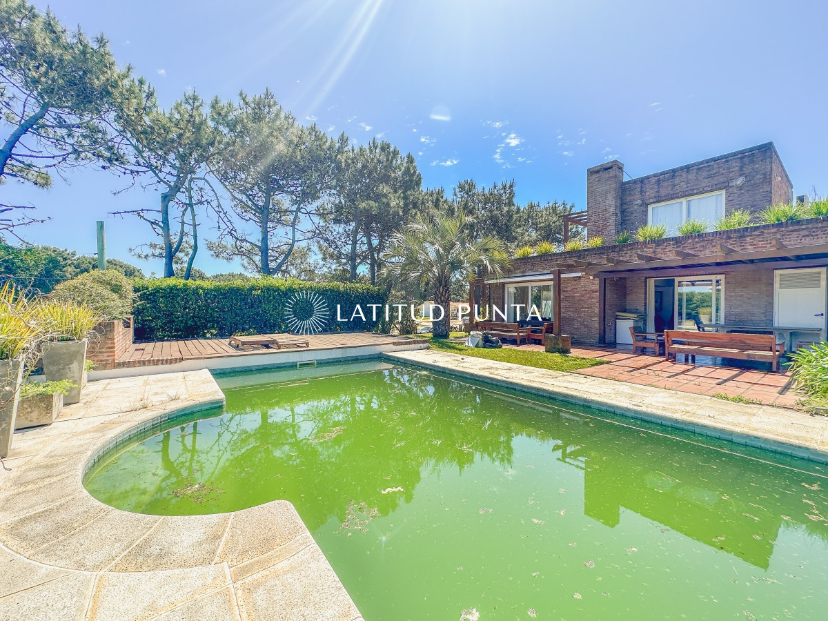 Tio Tom - GoPunta - Portal Inmobiliario de Punta del Este - Maldonado