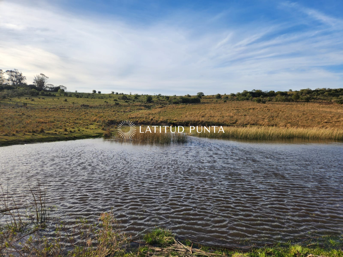 A 10 kms. de Pueblo Garzón, chacra de 36 ha - LAT4082H