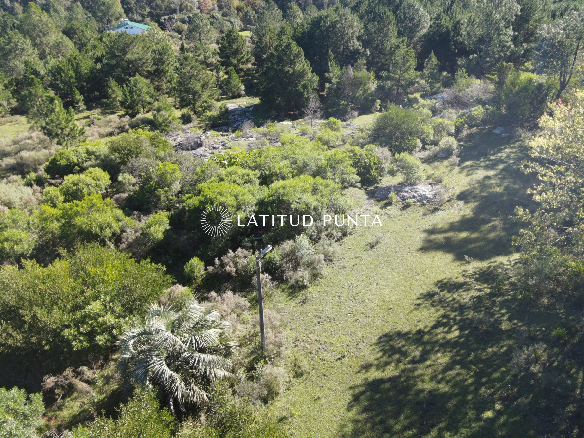 Zona Rural - GoPunta - Portal Inmobiliario de Punta del Este - Maldonado