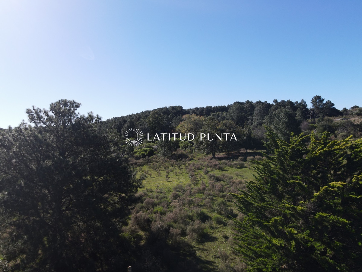 Zona Rural - GoPunta - Portal Inmobiliario de Punta del Este - Maldonado