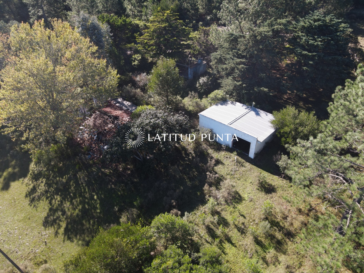 Zona Rural - GoPunta - Portal Inmobiliario de Punta del Este - Maldonado