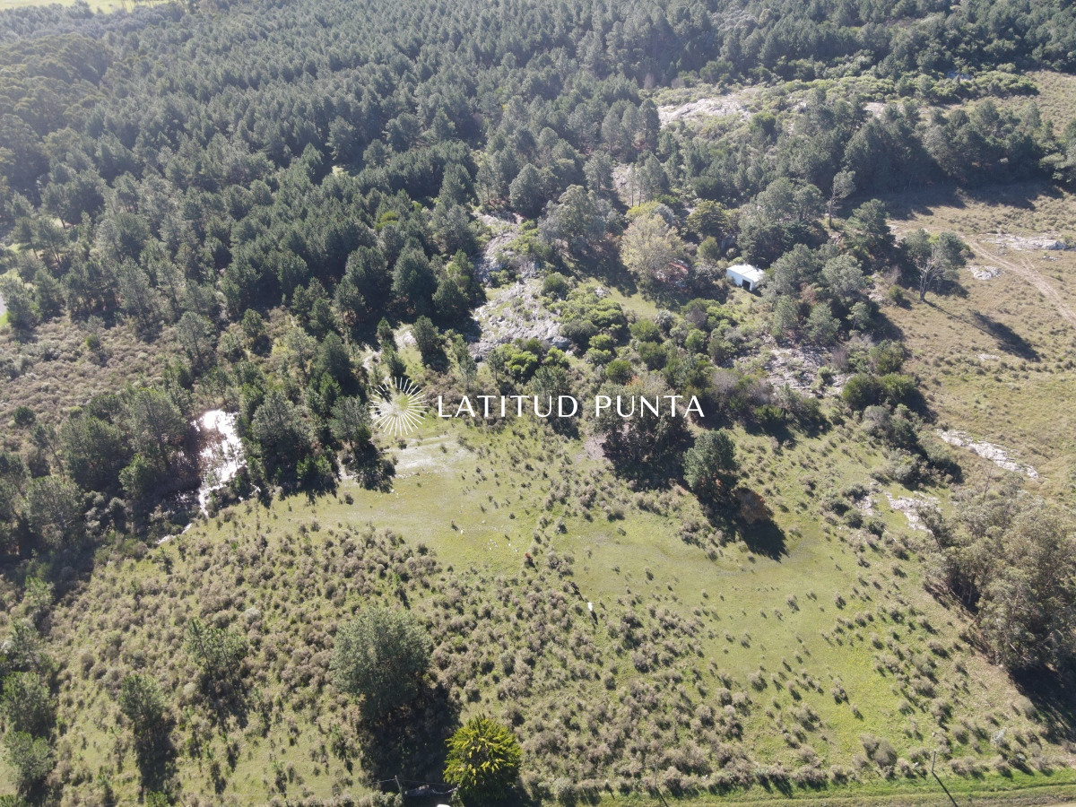Zona Rural - GoPunta - Portal Inmobiliario de Punta del Este - Maldonado