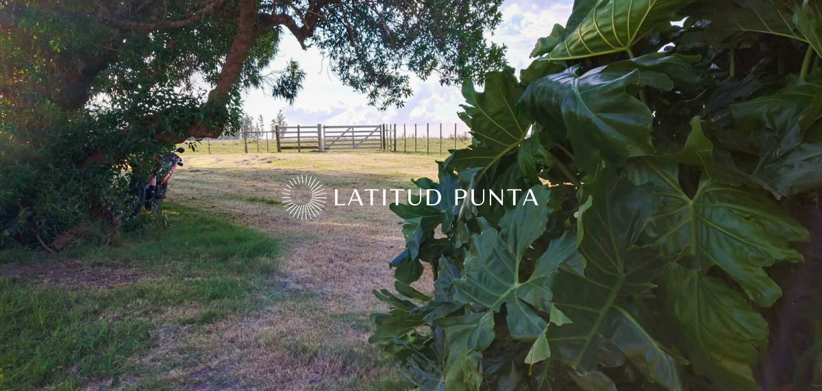 San Carlos - GoPunta - Portal Inmobiliario de Punta del Este - Maldonado