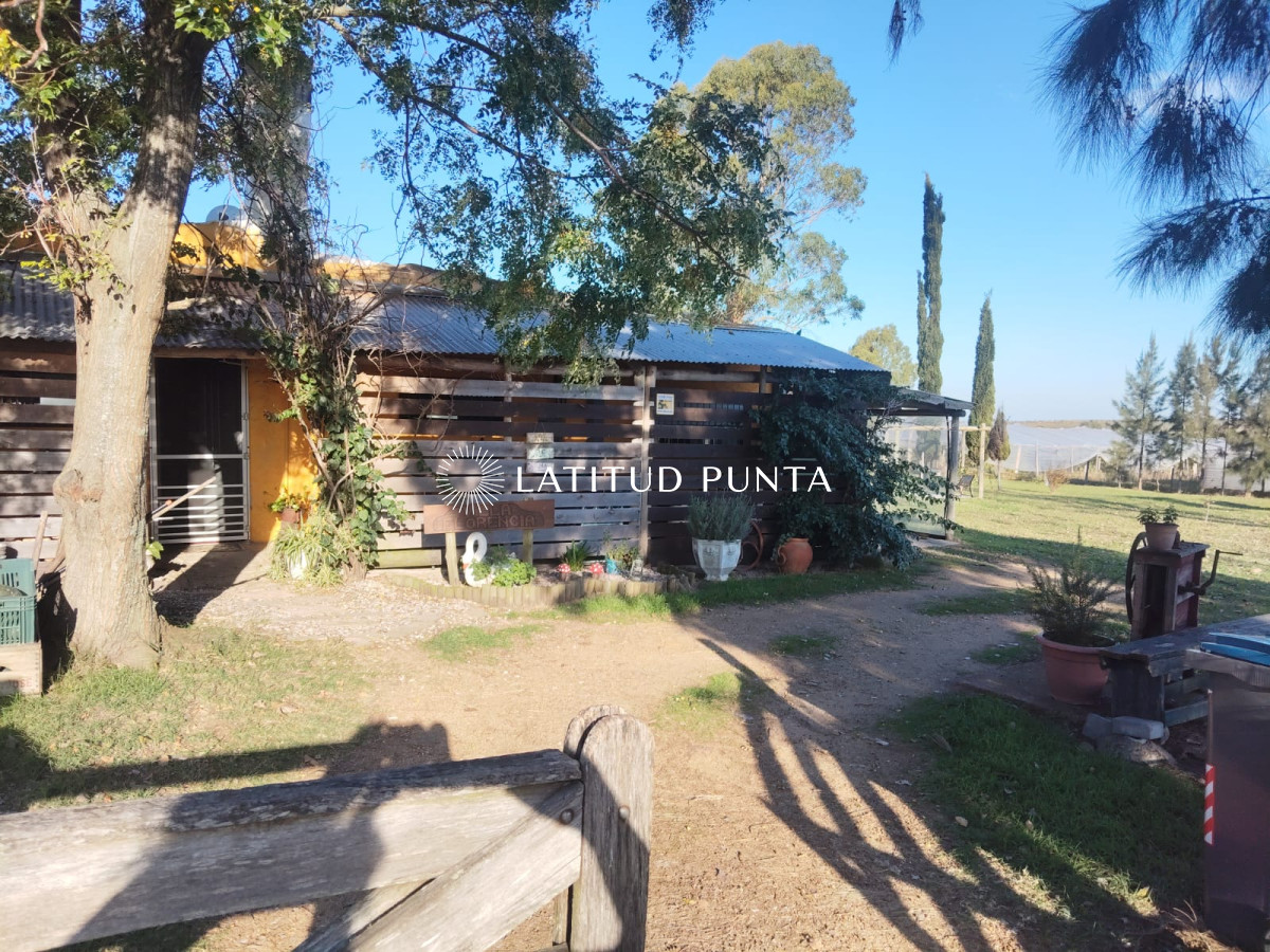 San Jacinto - GoPunta - Portal Inmobiliario de Punta del Este - Maldonado