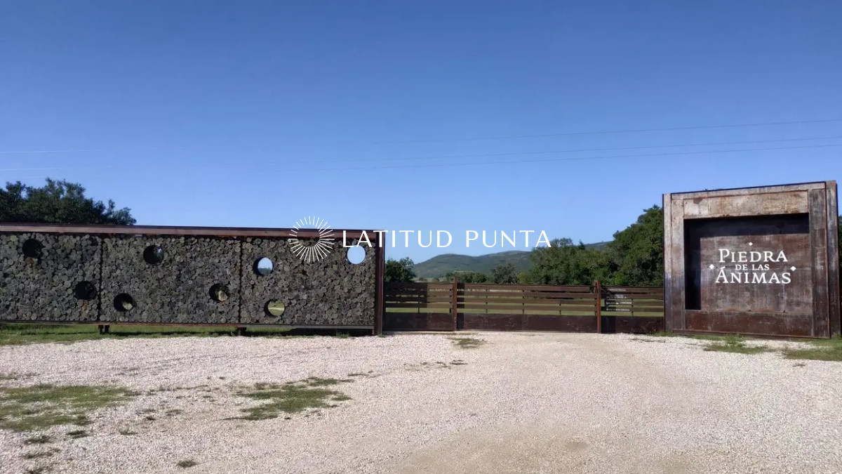 Ruta 60 - GoPunta - Portal Inmobiliario de Punta del Este - Maldonado