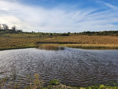 A 10 kms. de Pueblo Garzón, chacra de 36 ha