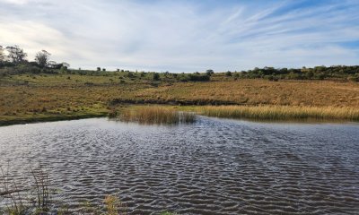 A 10 kms. de Pueblo Garzón, chacra de 36 ha