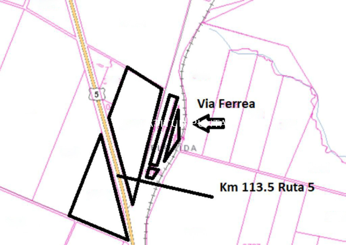 Florida, campo 30 ha sobre ruta 5, potencial logístico  - LAT4669P