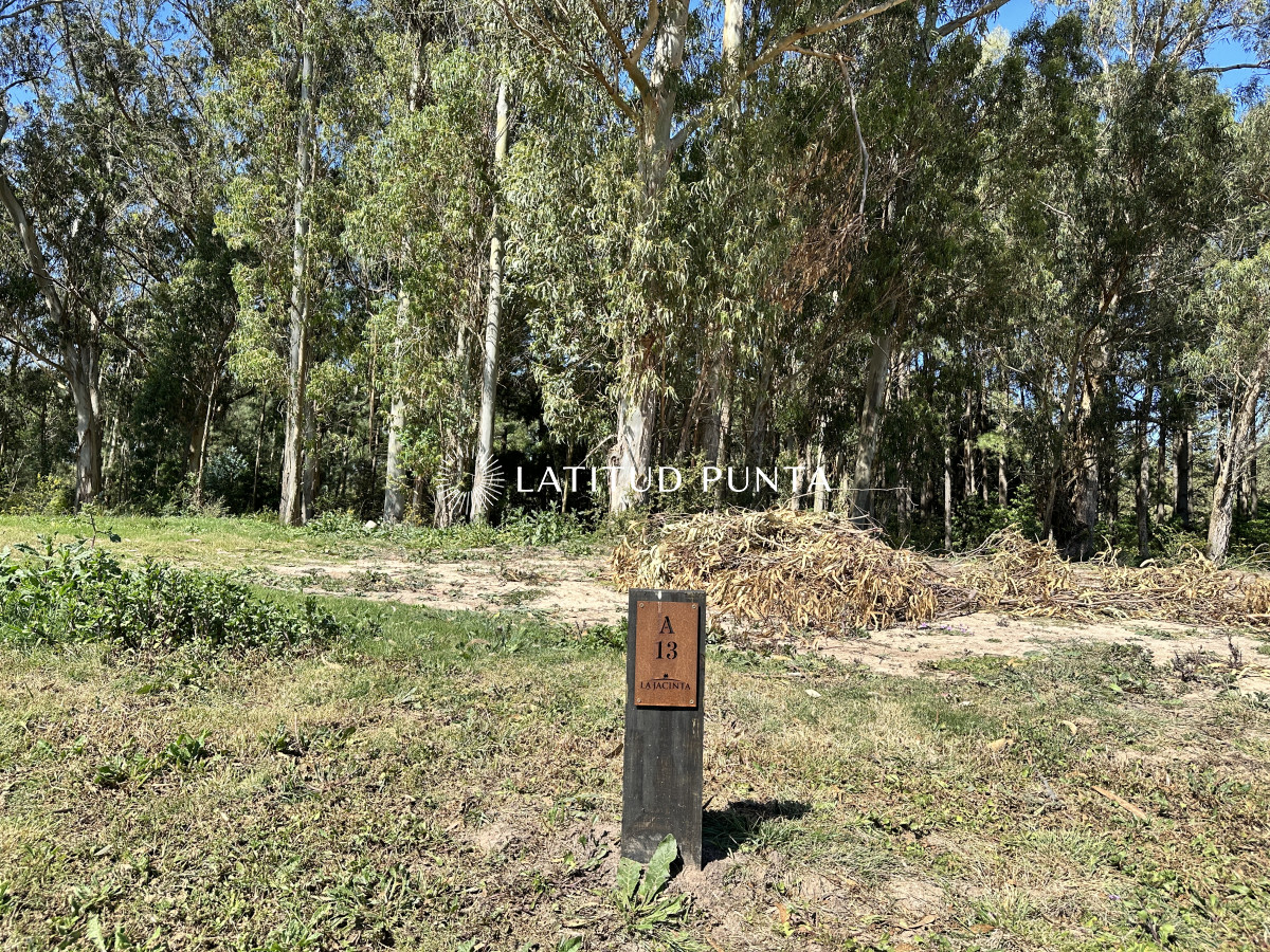 Lote en venta. La Jacinta - LAT6598T