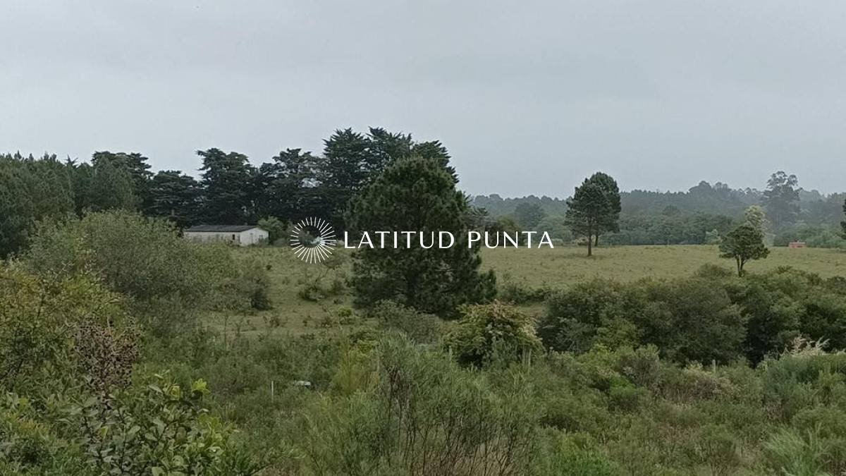 La Capuera - GoPunta - Portal Inmobiliario de Punta del Este - Maldonado