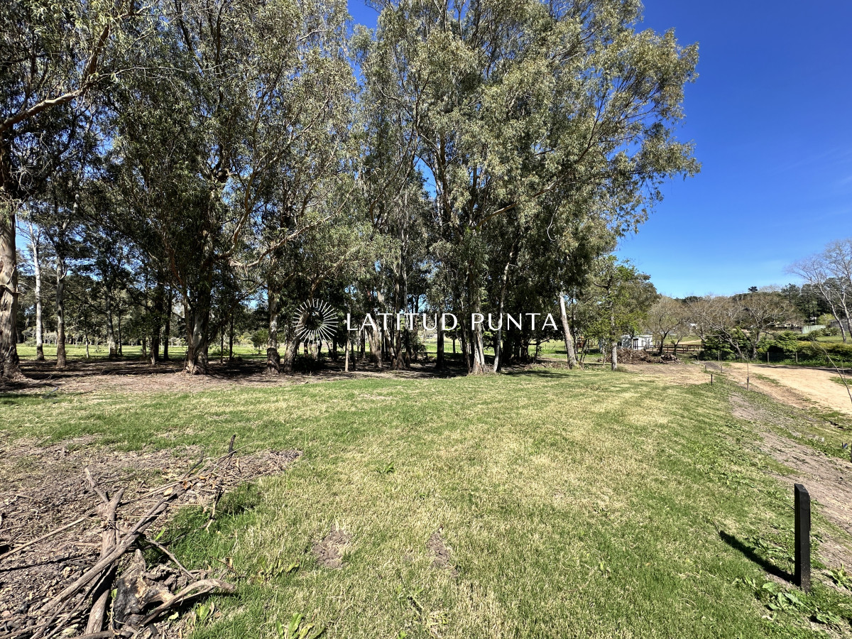 La Jacinta, lote en venta - LAT6595T