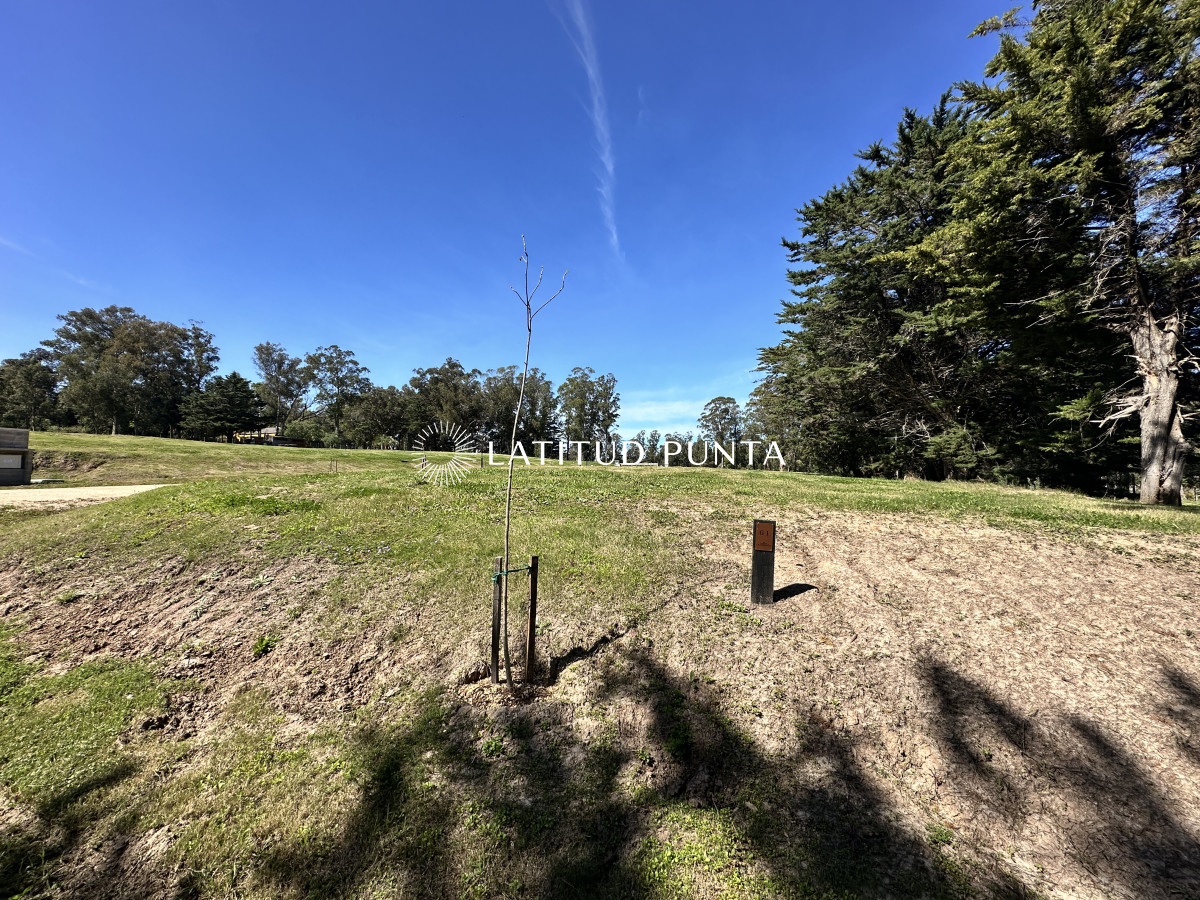 Lote en venta en La Jacinta - LAT6594T