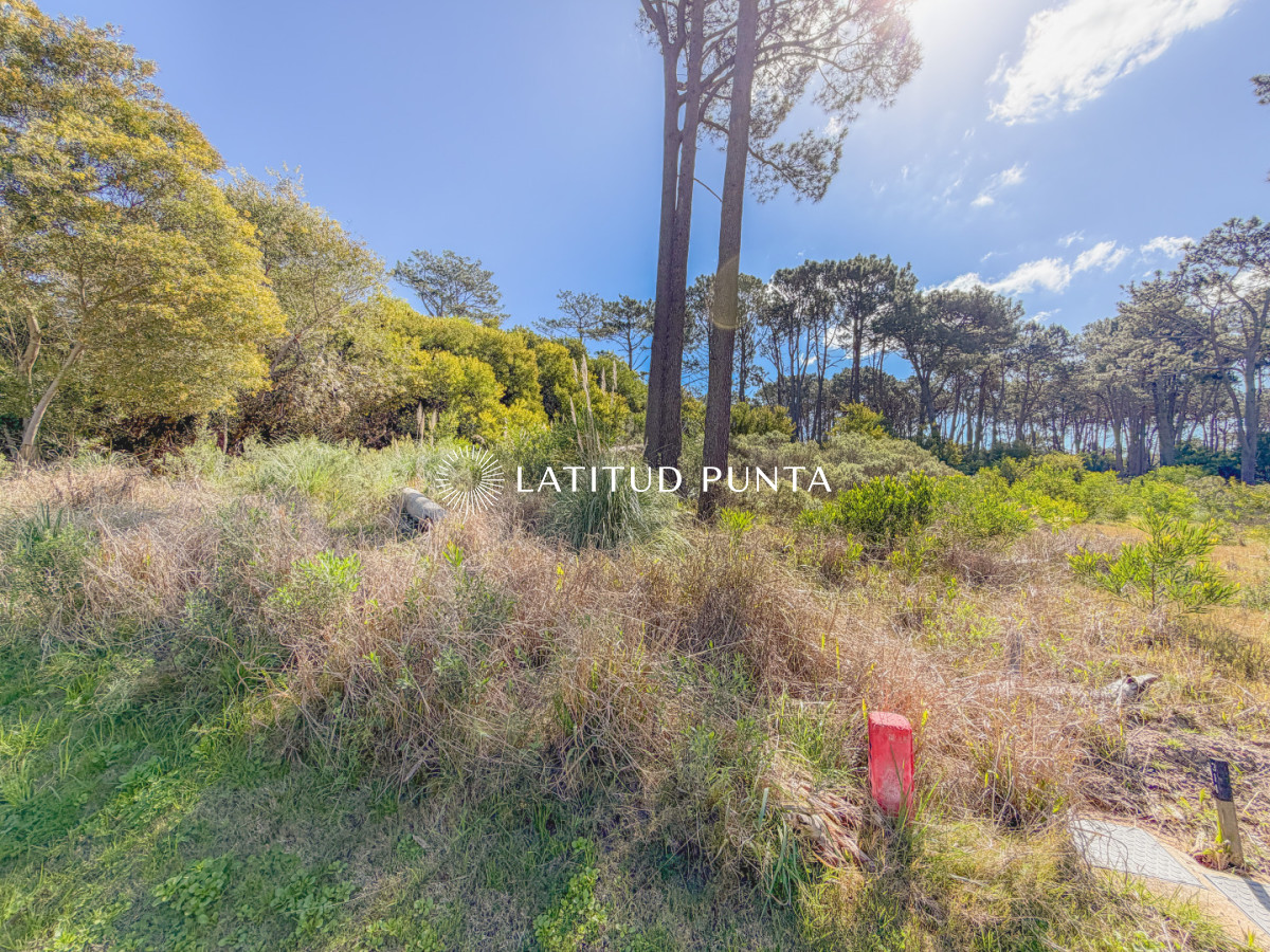 Terreno en Reserva Montoya - LAT7137T