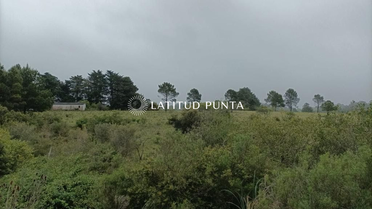 La Capuera - GoPunta - Portal Inmobiliario de Punta del Este - Maldonado