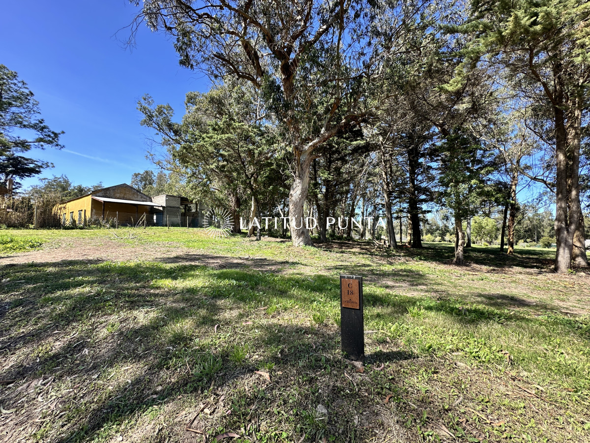 Lote en venta. La Jacinta - LAT6599T