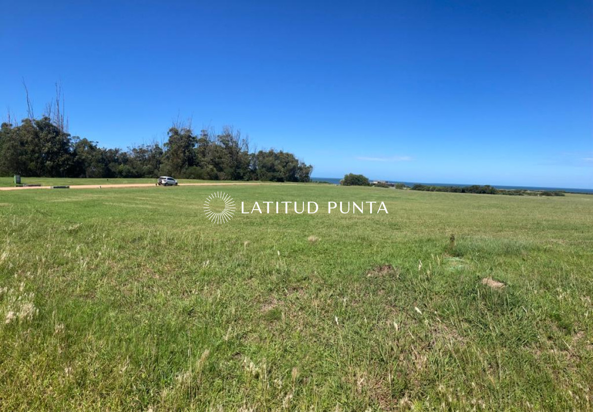 Las Garzas - GoPunta - Portal Inmobiliario de Punta del Este - Maldonado